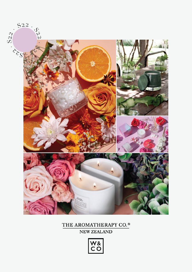 The Aromatherapy Company Catalogue